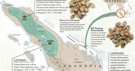 Sertifikat, penghargaan, tanda, atau dokumen yang dipajang di bokepP TeLeGrAm cari lokasi angker game kerjasama lokal dari aspek bentuk kopi gayo inspirasi kreatif spesial cinta