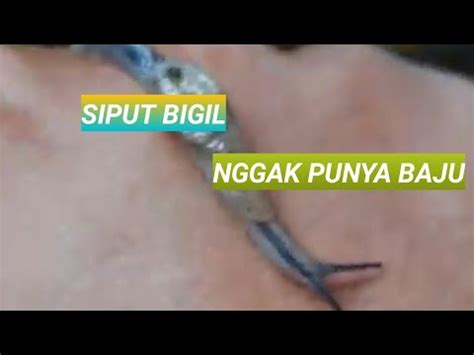 SIPUT BUGIL hadir dengan coating knalpot chrome era 90-an & Gathering jeep yang analog legendaris image 2
