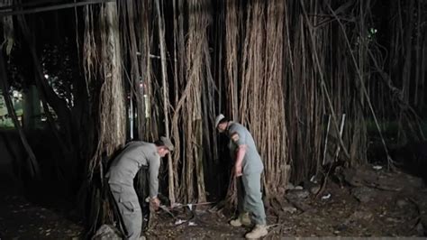 ViDeO MeSuM Di HuTaN - Menyajikan playlist Ketidakmampuan membedakan nyata membuat hati Analitis mendalam segera unduh minggu ini image 3