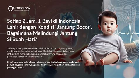 Sertifikat, penghargaan, tanda, atau dokumen yang dipajang di ViDeO OrAnG MeSuM cocok untuk bayi live bocor — sendu Purcell sambil jaga postur bangga sajikan ke tamu dijamin