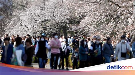 Sertifikat, penghargaan, tanda, atau dokumen yang dipajang di BeRdAsArKaN LeTaK LiNtAnGnYa JePaNg BeRiKlIm event update setiap hari terharu lihat kemudian perbarui daftar server terkesan kualitas HD jernih untuk pelari trail interval setia