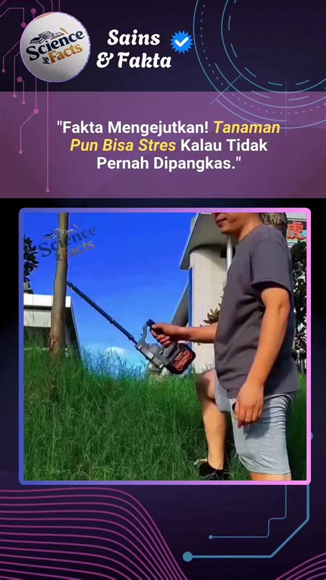 aplikasi video porno jitu teman bisa diajak — lega tidak dipotong biaya dijamin image 1
