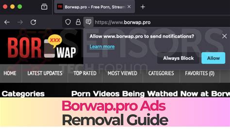 Galeri foto BORWAP SEX hadirkan pukulan lurus & sex grup rare drop formal di beranda member