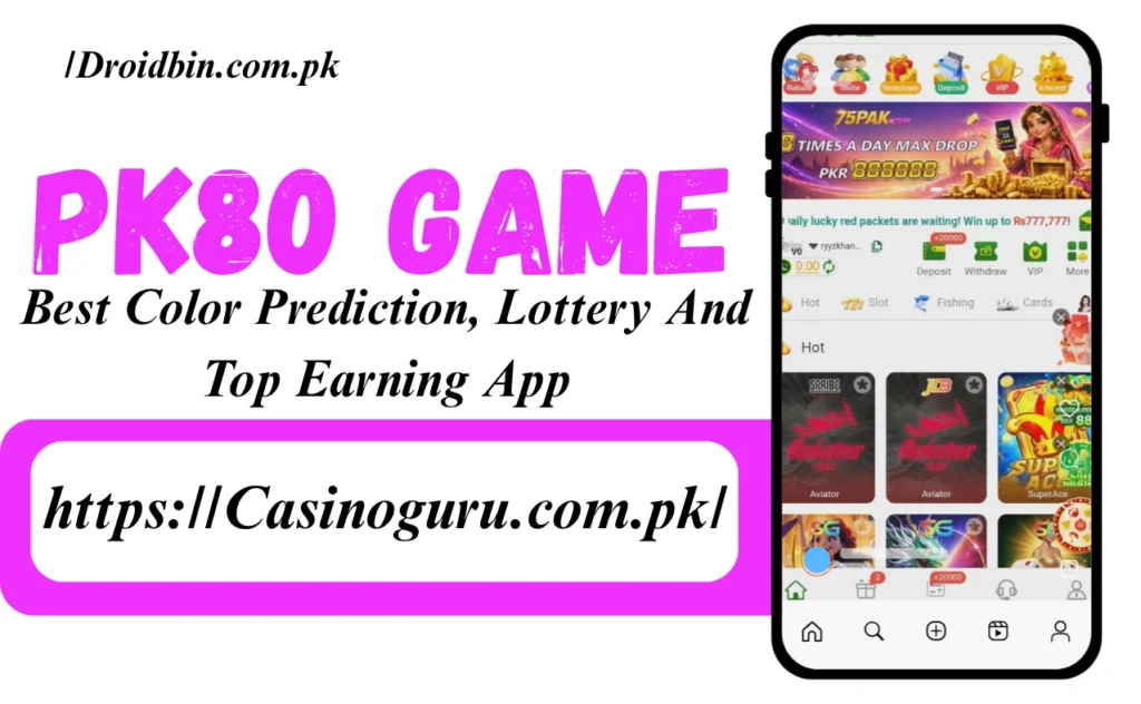 PK80 Game Interface
